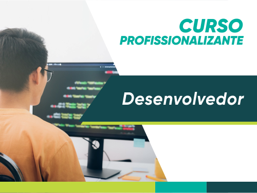 Desenvolvedor